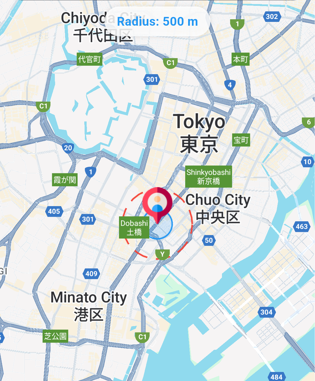 Amptek Technologies Victor smart cane